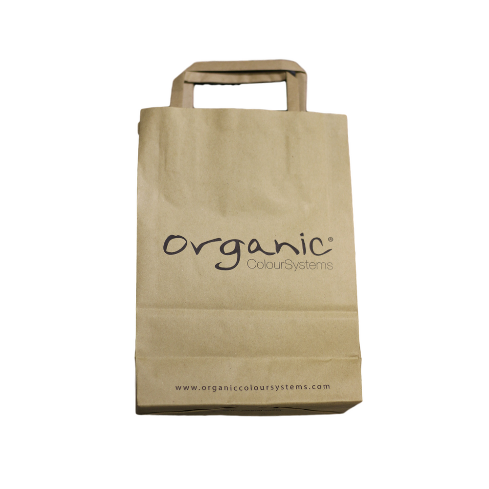 Paper Retail Carrier Bag 10 Pack